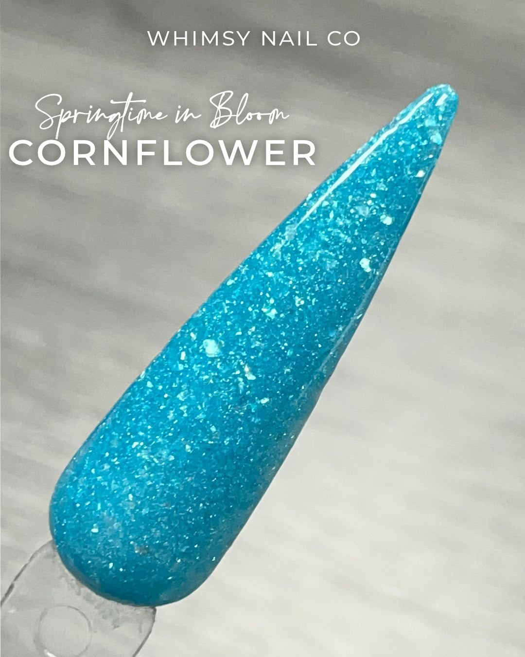 Cornflower