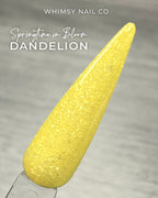 Dandelion