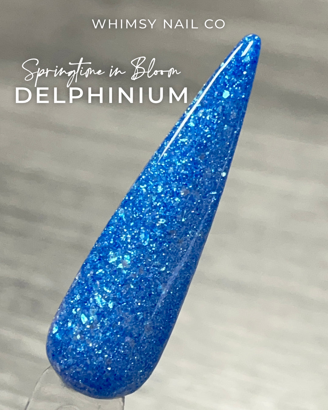 Delphinium