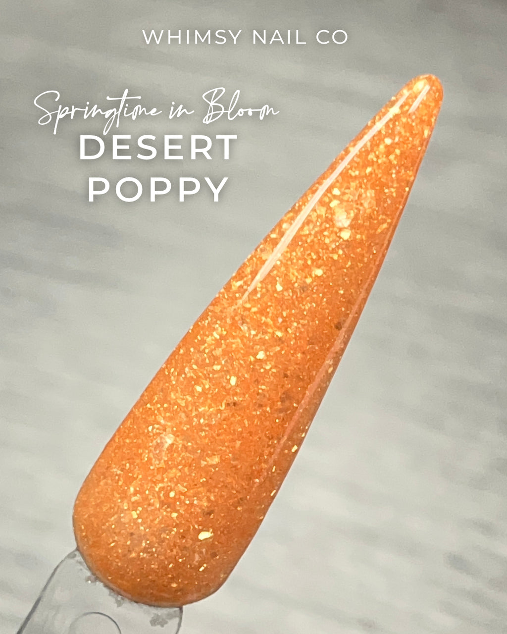 Desert Poppy