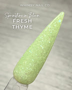 Fresh Thyme