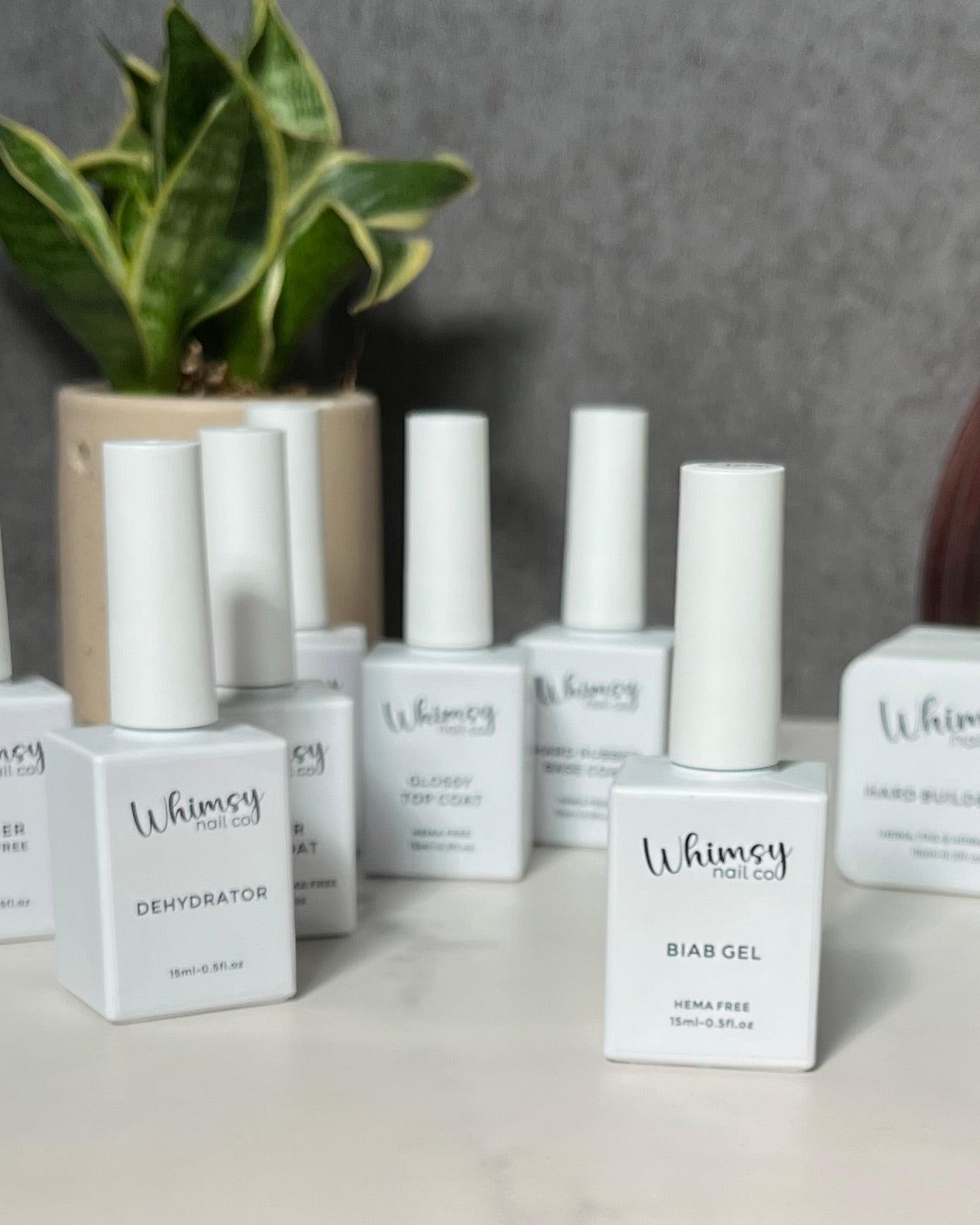 Builder Gel Essentials Set